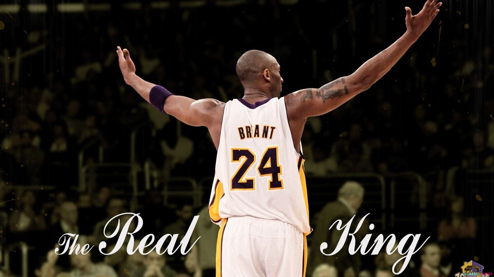 萨默·麦金托什赛后感谢团队支持